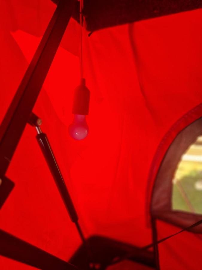 Dachzelt Cochem Hotell Eksteriør bilde